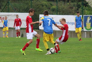 KAIYUN 中国大陆-突尼斯希望进攻套路单一，被对手识破，突尼斯是啥意思